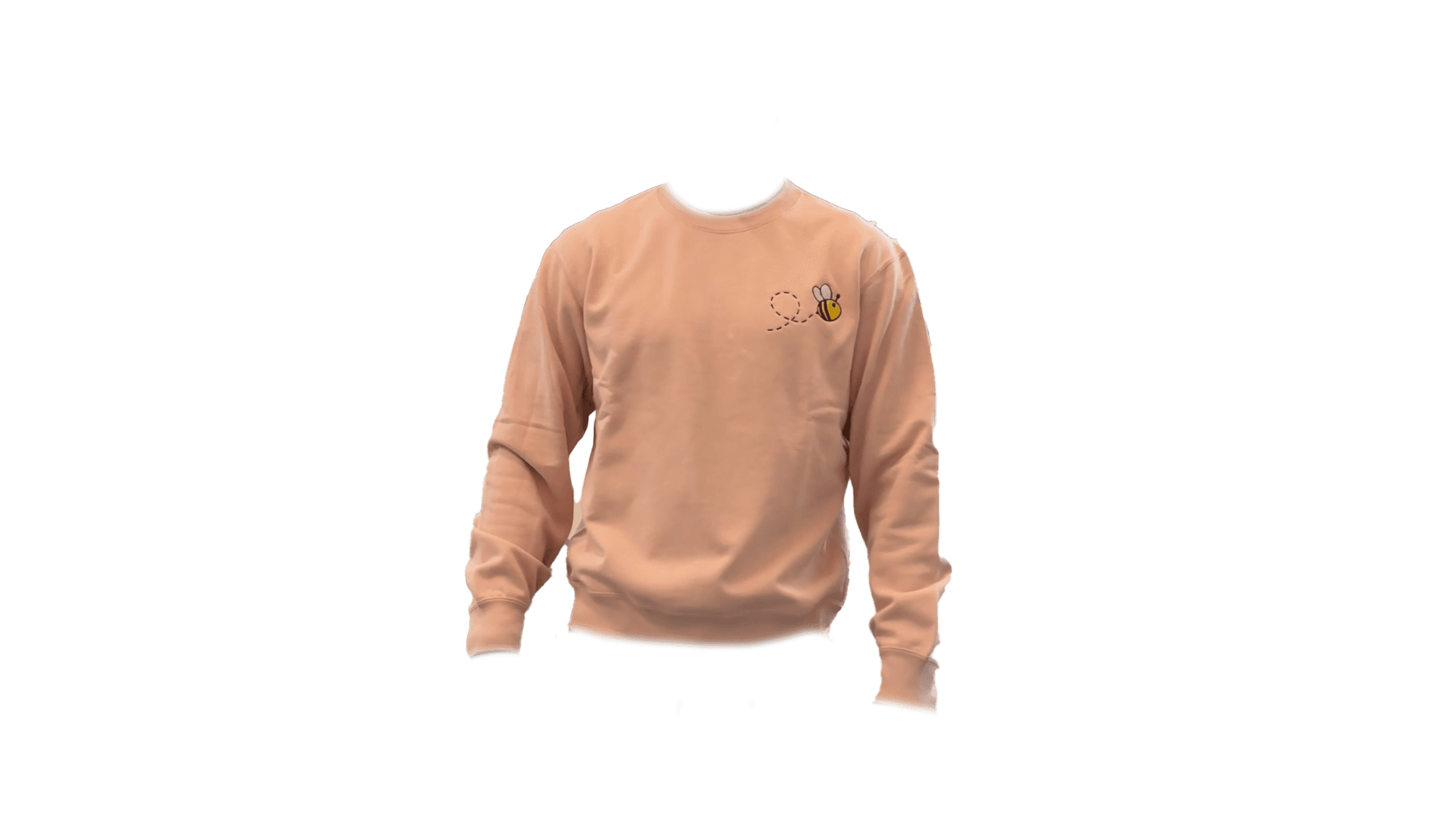 Model wearing a pink sweatshirt with a bee embroidered on the front